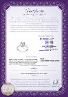 product certificate: FW-W-AAAA-78-R-Forever