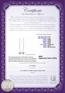 product certificate: FW-W-AAAA-89-E-Dottie