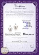 Product certificate: FW-W-AAAA-89-E-Eternity