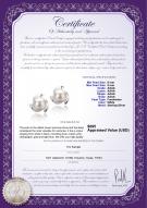 product certificate: FW-W-AAAA-89-E-Eva