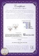 Product certificate: FW-W-AAAA-89-E-Kayla