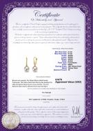 Product certificate: FW-W-AAAA-89-E-Sparkle