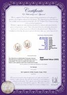 product certificate: FW-W-AAAA-89-E-Zina