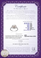 product certificate: FW-W-AAAA-89-R-Dreama