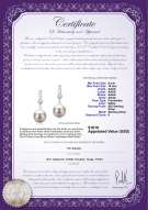 Product certificate: FW-W-AAAA-910-E-Erma