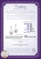 Product certificate: FW-W-AAAA-910-E-Janet