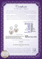 Product certificate: FW-W-AAAA-910-E-Shellry