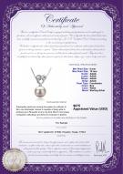 product certificate: FW-W-AAAA-910-P-Adelina