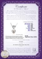 Product certificate: FW-W-AAAA-910-P-Adelina