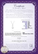 Product certificate: FW-W-AAAA-910-P-Courtney