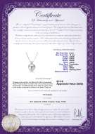 Product certificate: FW-W-AAAA-910-P-Eternity