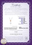 Product certificate: FW-W-AAAA-910-P-Pamela