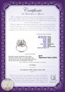 product certificate: FW-W-AAAA-910-R-Bobbie