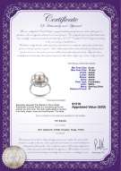 Product certificate: FW-W-AAAA-910-R-Bobbie