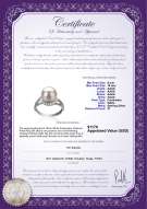 Product certificate: FW-W-AAAA-910-R-Royisal