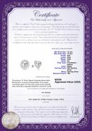 product certificate: FW-W-EDS-1213-E-Yalena