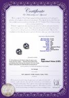 product certificate: JAK-B-AA-67-E-Jocelyn