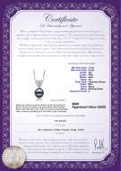 Product certificate: JAK-B-AA-78-P-Randy