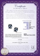 product certificate: JAK-B-AA-89-E-Francine