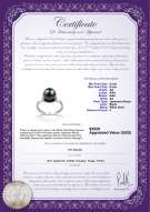 Product certificate: JAK-B-AA-89-R-Sarah