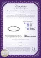 Product certificate: JAK-B-AAA-775-N-Silver