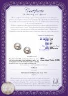 product certificate: JAK-W-AA-67-E-Jocelyn