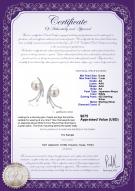 Product certificate: JAK-W-AA-67-E-Rosie