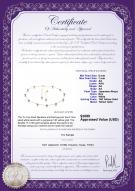 product certificate: JAK-W-AA-67-S-Station