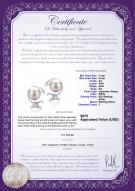 product certificate: JAK-W-AA-78-E-Gilda