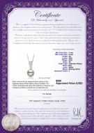 product certificate: JAK-W-AA-78-P-Daria