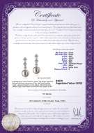 Product certificate: JAK-W-AAA-89-E-Rozene