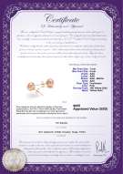 Product certificate: P-78-E