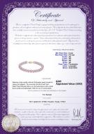 product certificate: P-AA-67-B-OLAV