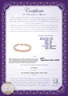 Product certificate: P-AA-67-B