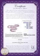 Product certificate: P-AA-67-N-OLAV-DBL