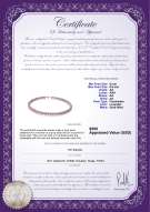 Product certificate: P-AA-67-N-olav