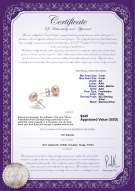 Product certificate: P-AA-78-E