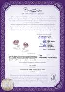 Product certificate: P-AA-910-E-SS-OLAV