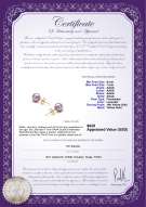 Product certificate: P-AAAA-67-E-OLAV