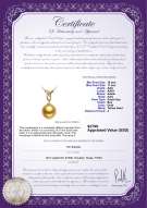 product certificate: SSEA-G-AAA-1011-P-Monica