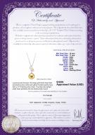 product certificate: SSEA-G-AAA-1011-P-Nelia