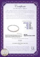 Product certificate: SSEA-W-AAA-1213-N