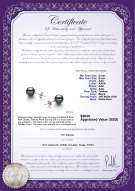 Product certificate: TAH-89-E