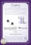 Product certificate: TAH-B-AA-1011-E