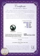 Product certificate: TAH-B-AA-1213-L1