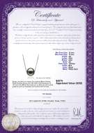 product certificate: TAH-B-AA-1213-P-Kristine