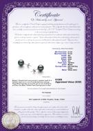 Product certificate: TAH-B-AA-89-E