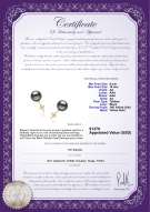 Product certificate: TAH-B-AA-910-E