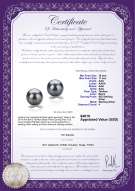 Product certificate: TAH-B-AAA-1011-E-Berry