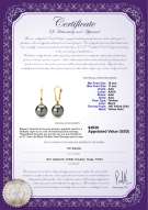 Product certificate: TAH-B-AAA-1011-E-Elements